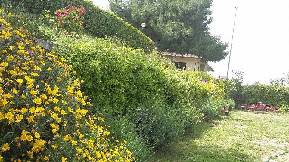 La Casa Di Stefania Apartment Pollutri Екстериор снимка